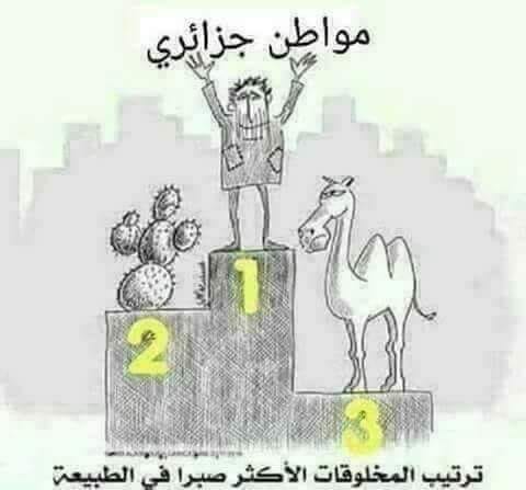 “الأفافاس” يدعو الجزائريين إلى الإتحاد ونبذ كل أنواع التفرقة